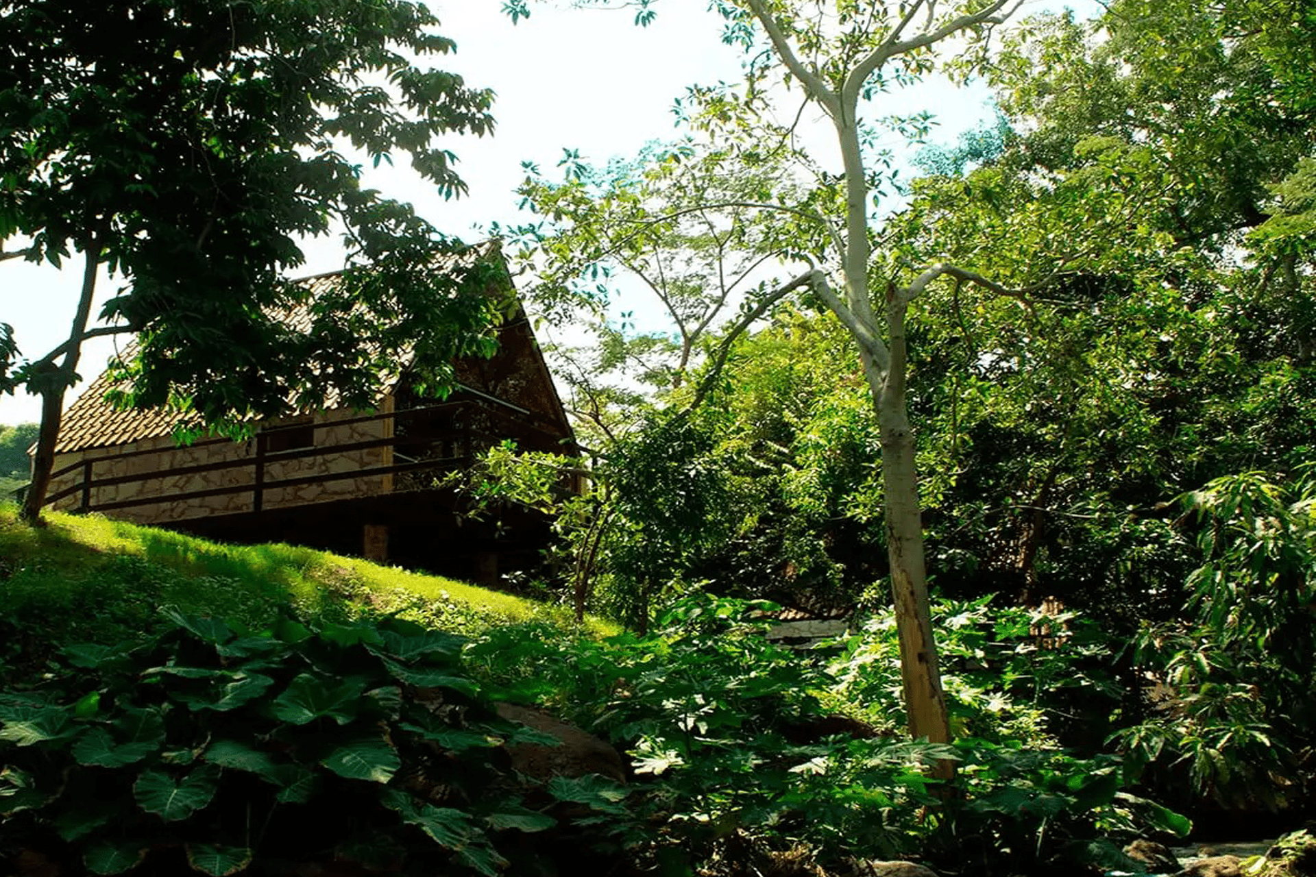 Cabañas YYUKKAI para 8 a 10 personas