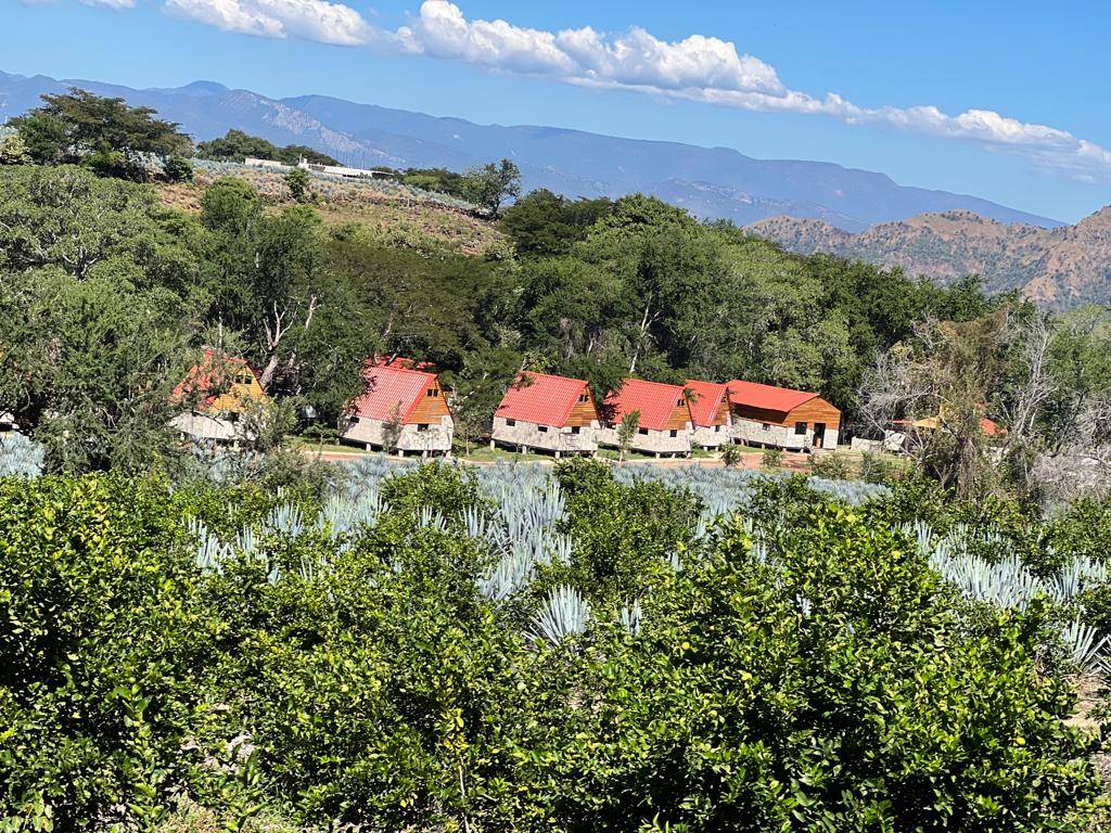 CabañasYyukkai en Tequila Jalisco