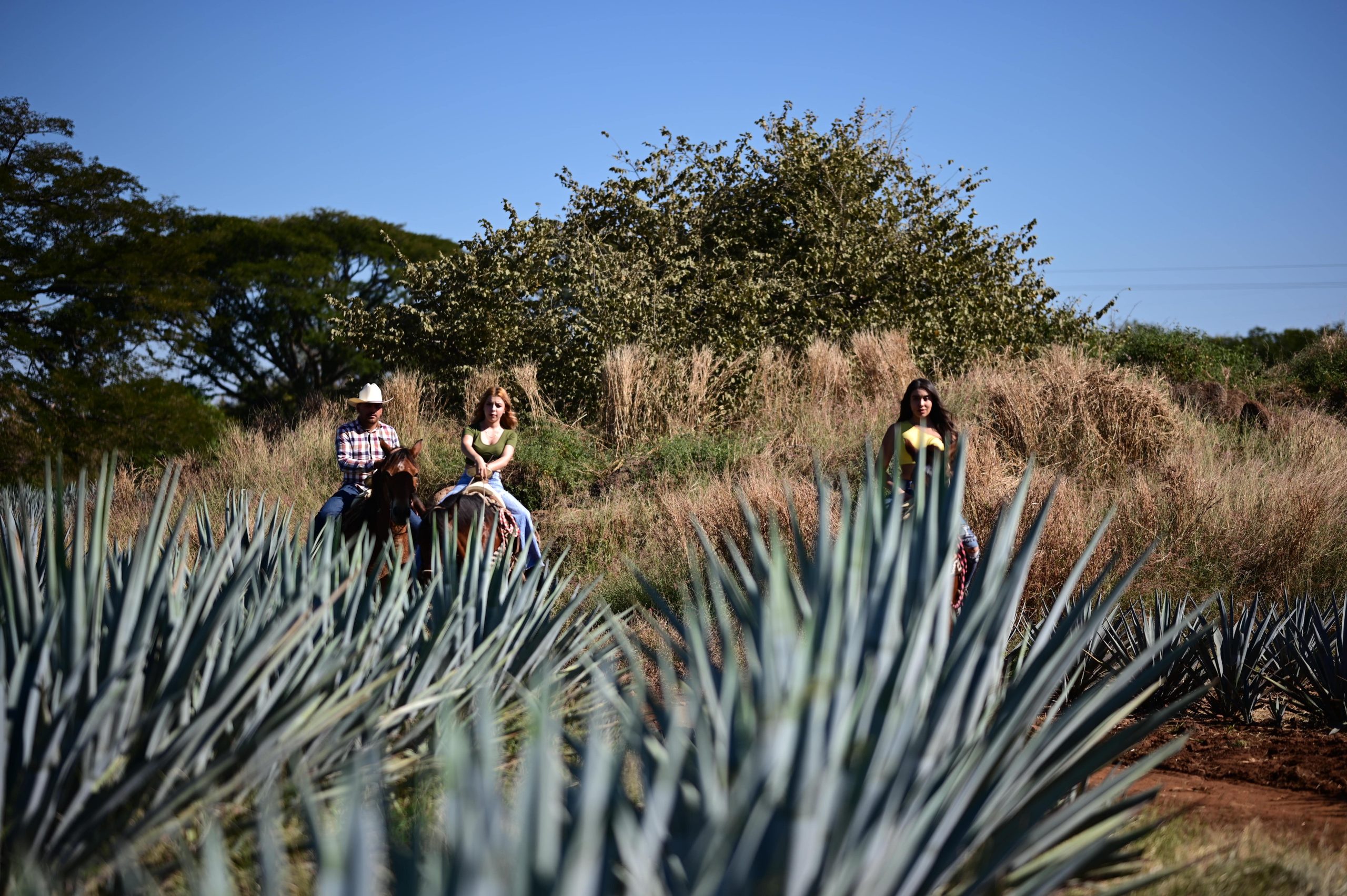 Paseo a Caballo (1)-min