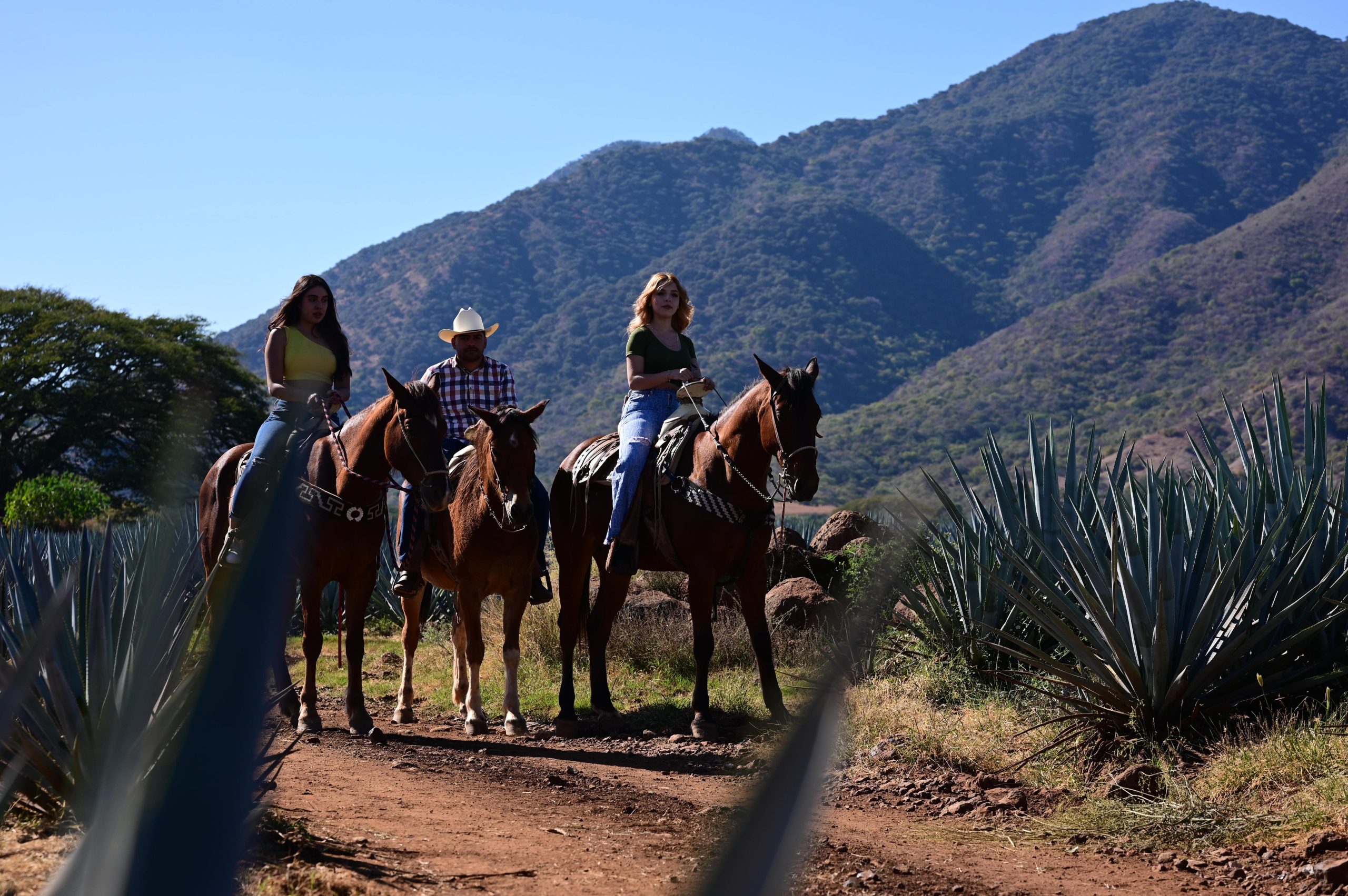 Paseo a Caballo (5)-min