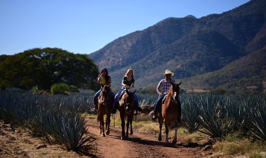 Beneficios de Montar a caballo para la mente y el cuerpo