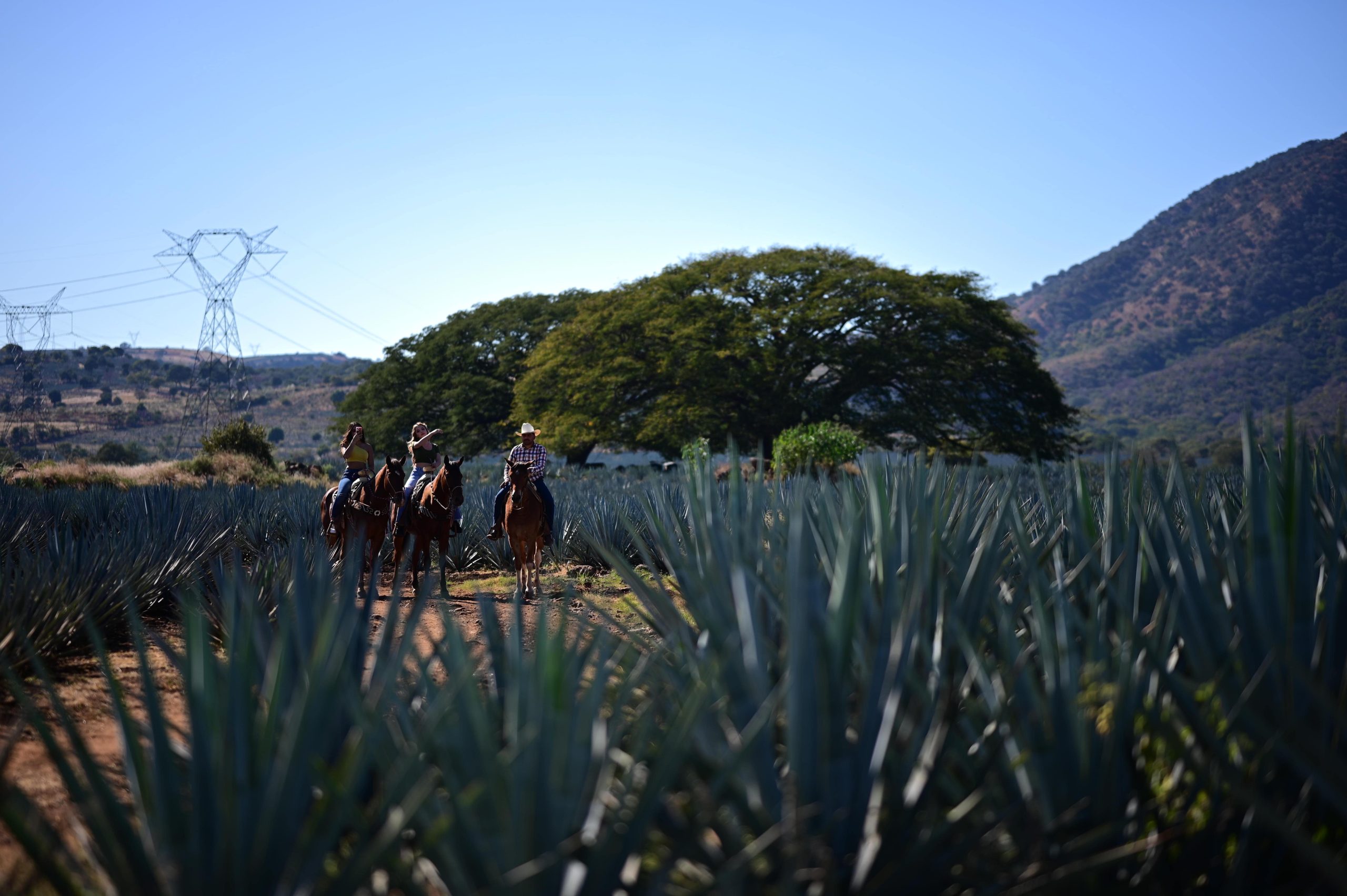 Paseo a Caballo (8)-min